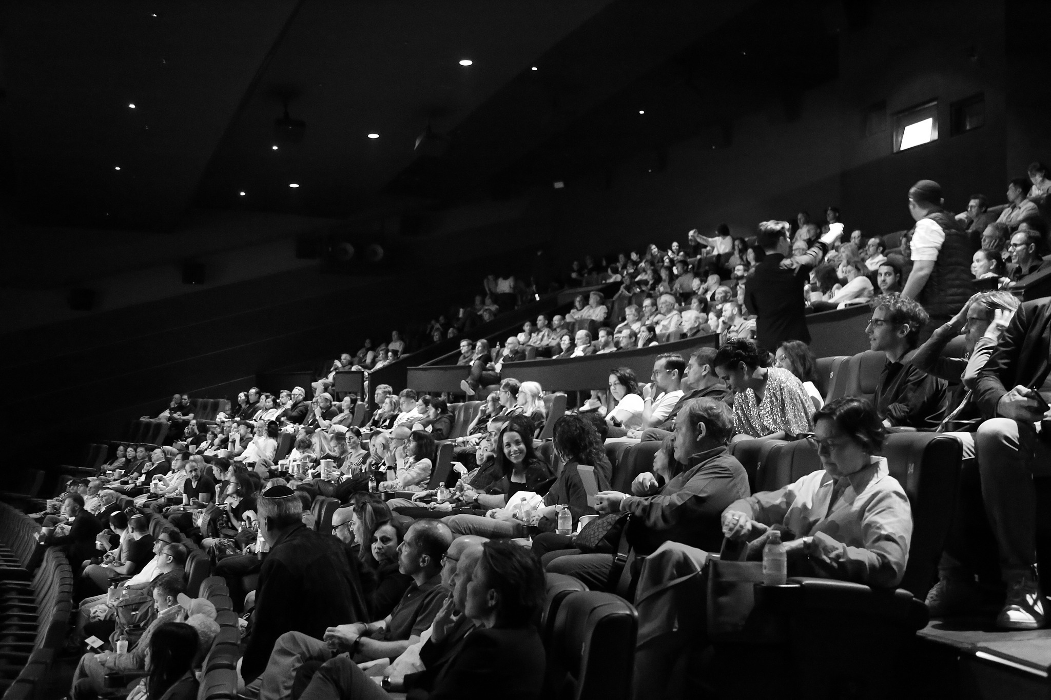 2024 - 25th Festival