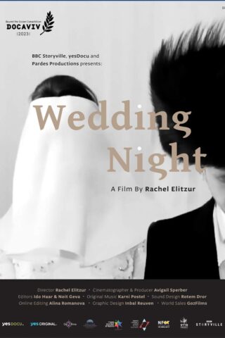 Poster-The-Wedding-Night