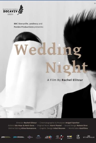 Poster-The-Wedding-Night